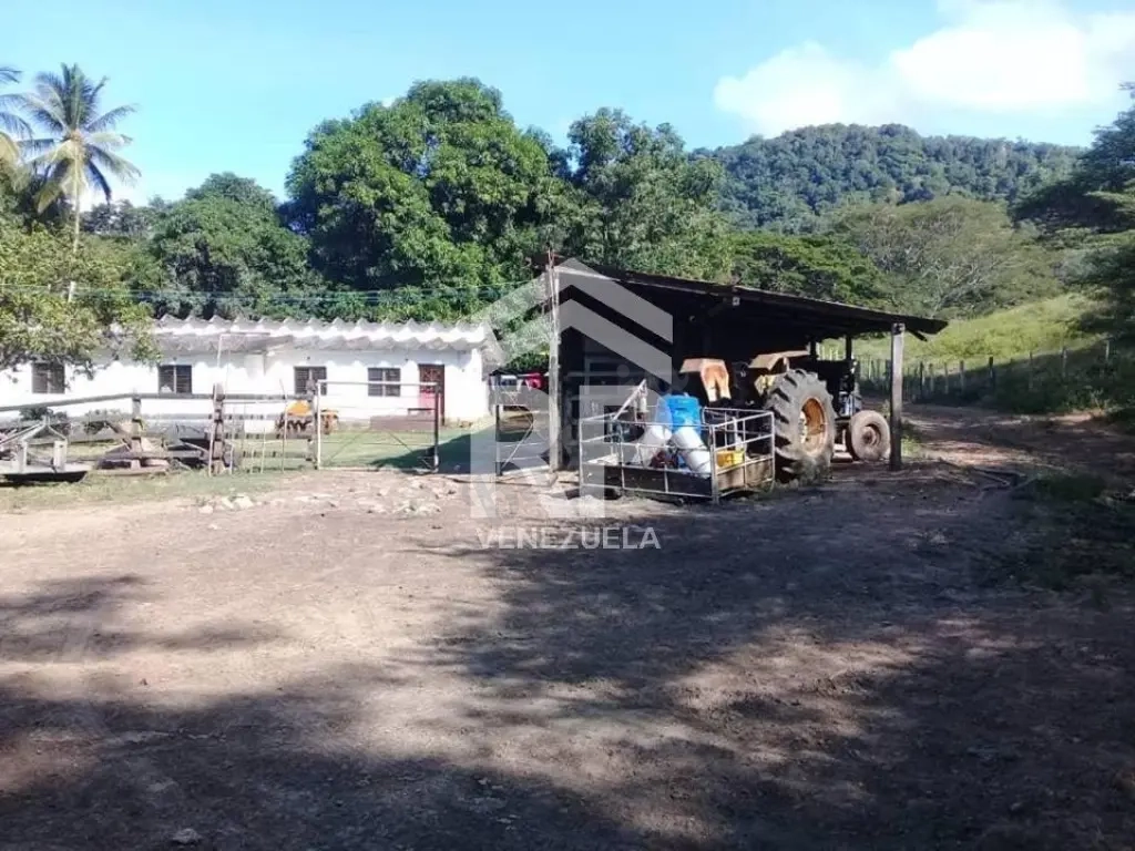 SGF-009 FINCA EN VENTA EN YARACAL