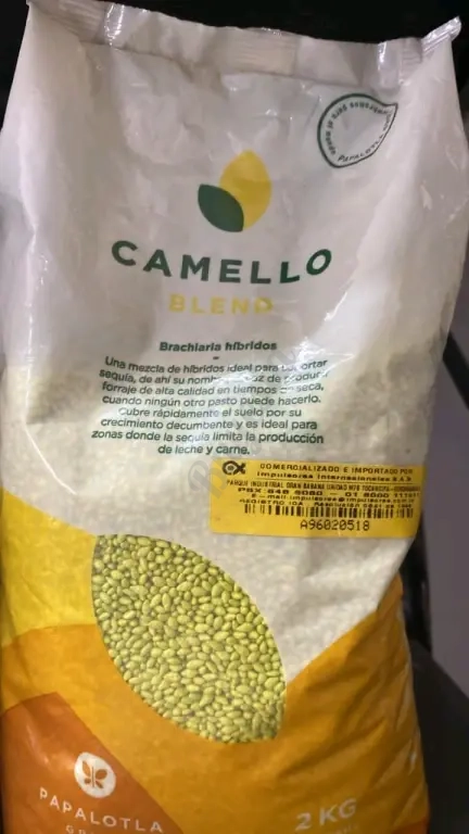 Semillas de Pasto, Maiz Amarillo y Sorgo Forrajero