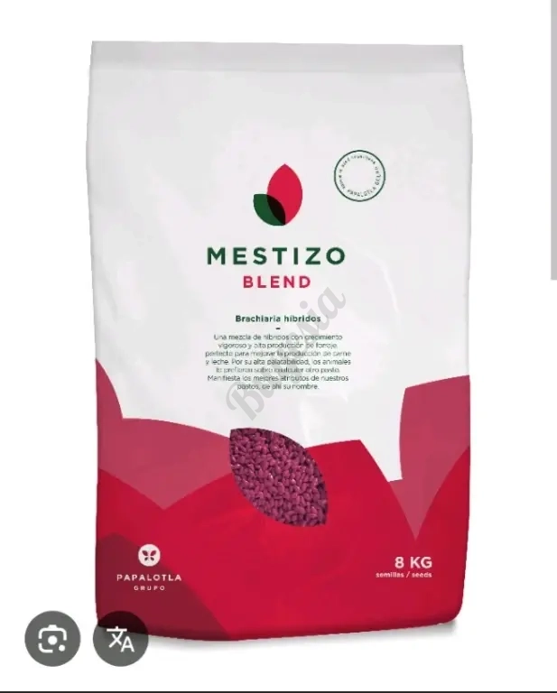 Semillas de Pasto, Maiz Amarillo y Sorgo Forrajero