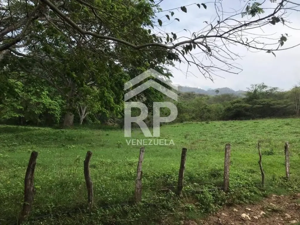 SGF-009 FINCA EN VENTA EN YARACAL