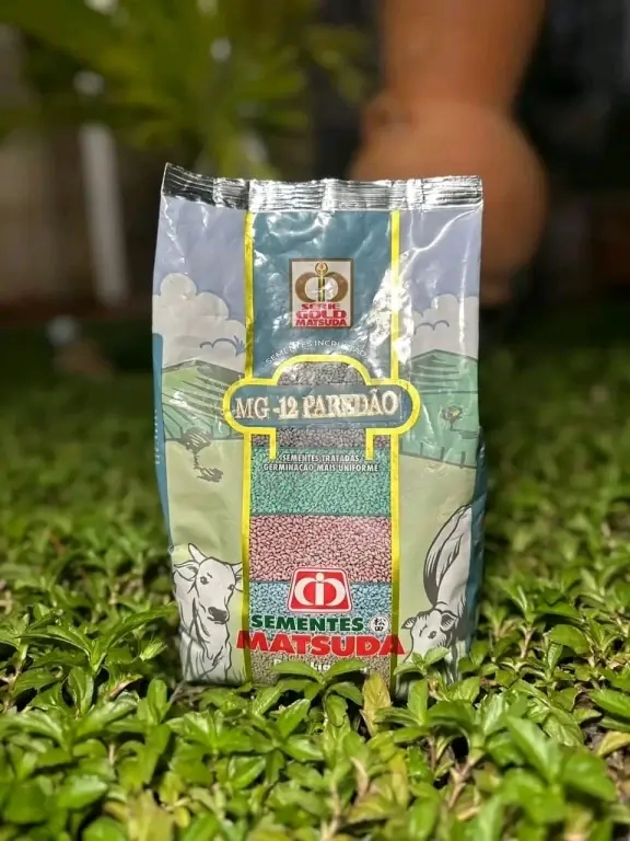 Semillas de Pasto, Maiz Amarillo y Sorgo Forrajero