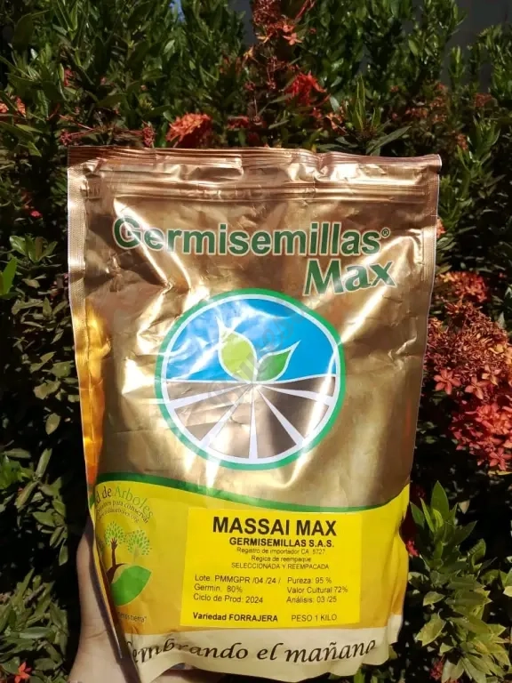 Semillas de Pasto, Maiz Amarillo y Sorgo Forrajero