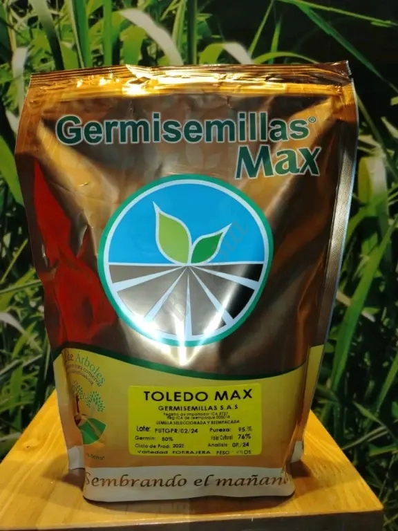 Semillas de Pasto, Maiz Amarillo y Sorgo Forrajero