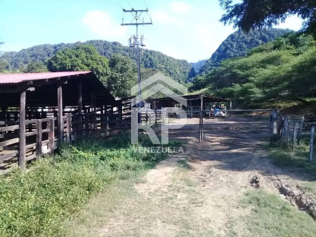 SGF-009 FINCA EN VENTA EN YARACAL