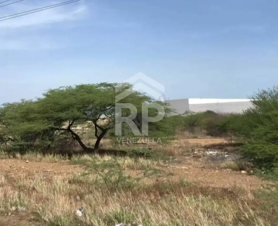 SGT-157 Terreno para Proyectos Comerciales o Residenciales en Venta en