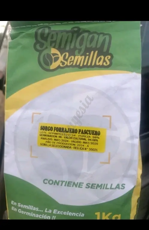 Semillas de Pasto, Maiz Amarillo y Sorgo Forrajero