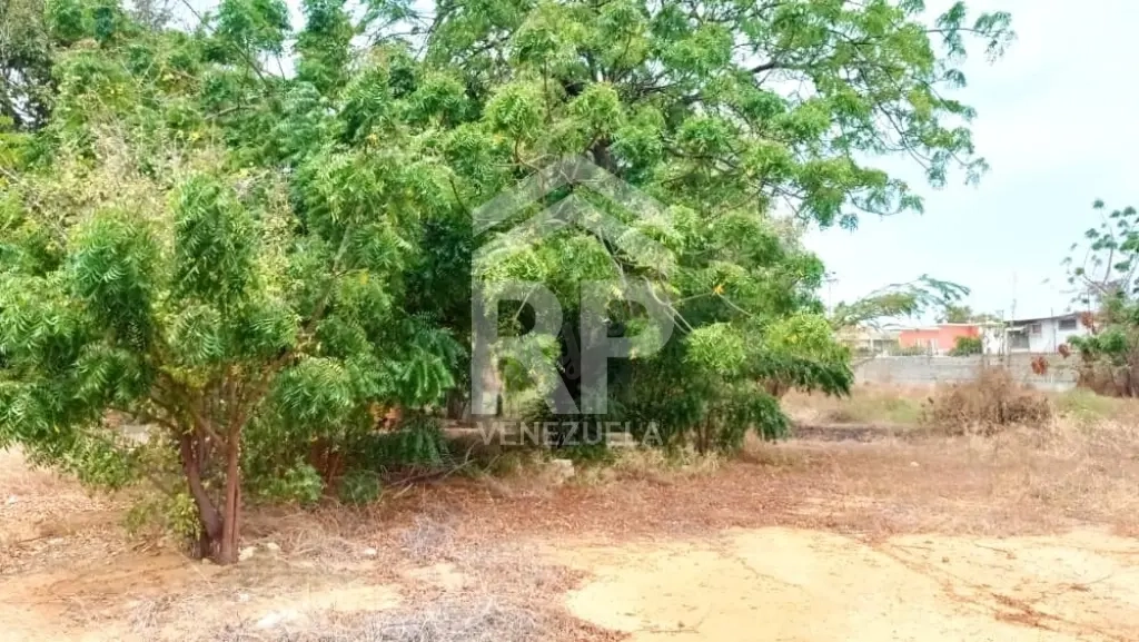 PLT-004. Terreno en Venta en Zona Norte de Maracaibo