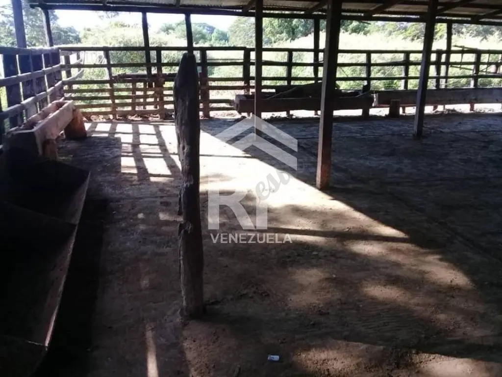 SGF-009 FINCA EN VENTA EN YARACAL