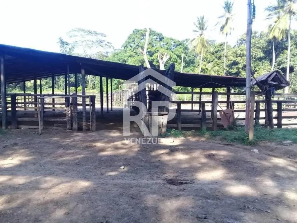 SGF-009 FINCA EN VENTA EN YARACAL