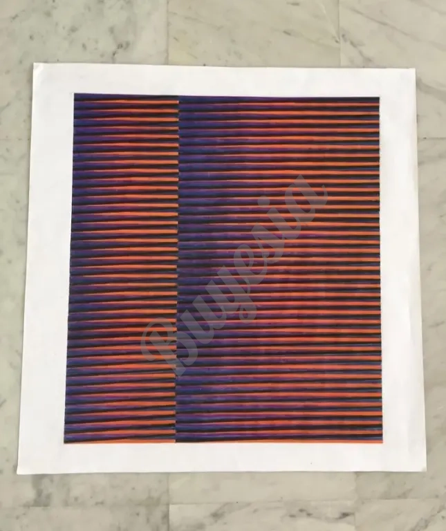 Serigrafia Arte Cinético Nro2