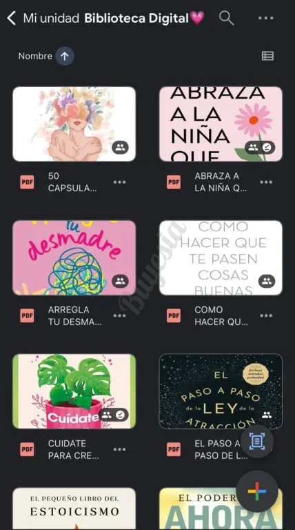 Biblioteca digital