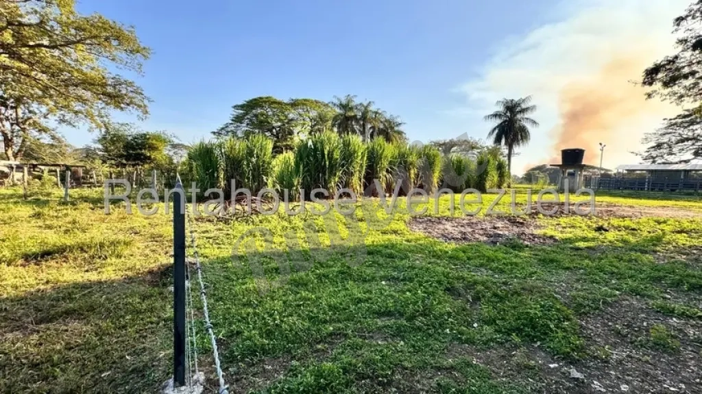 SE VENDE FINCA GUANARE SECTOR LICETA