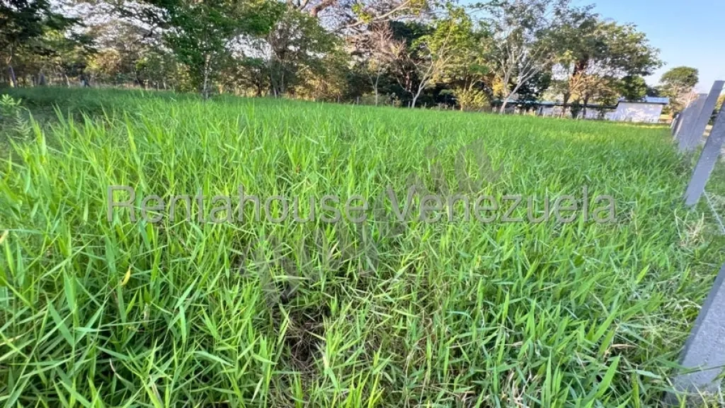SE VENDE FINCA GUANARE SECTOR LICETA