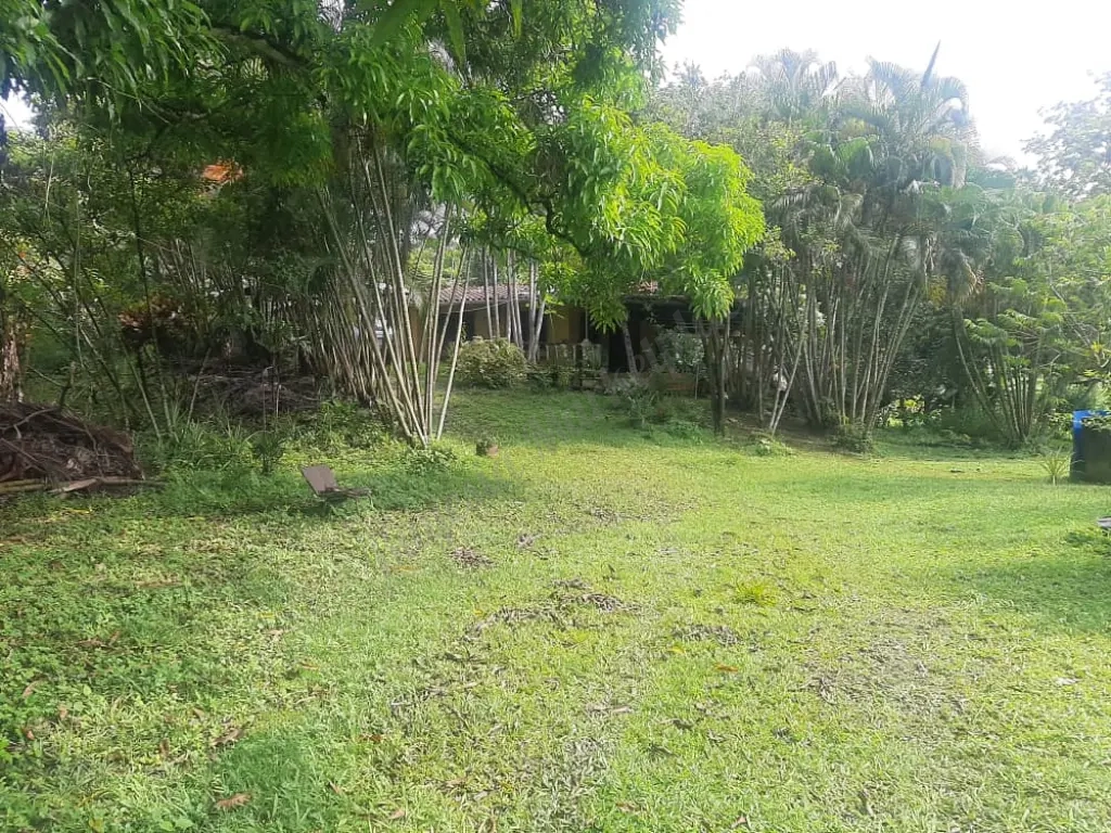 Terreno Propio de 10.000 Mts2 con Galpón Industrial,casa y Terreno,a 40 minutos de Caracas