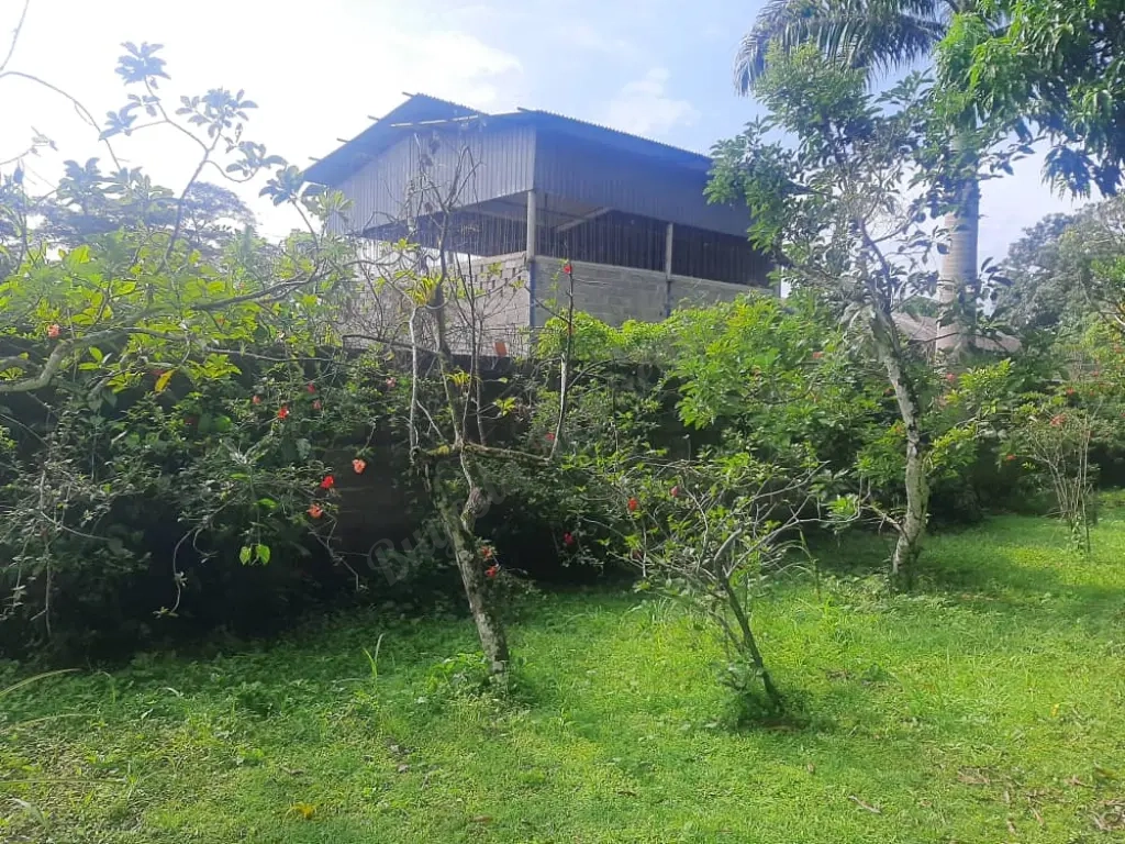 Terreno Propio de 10.000 Mts2 con Galpón Industrial,casa y Terreno,a 40 minutos de Caracas